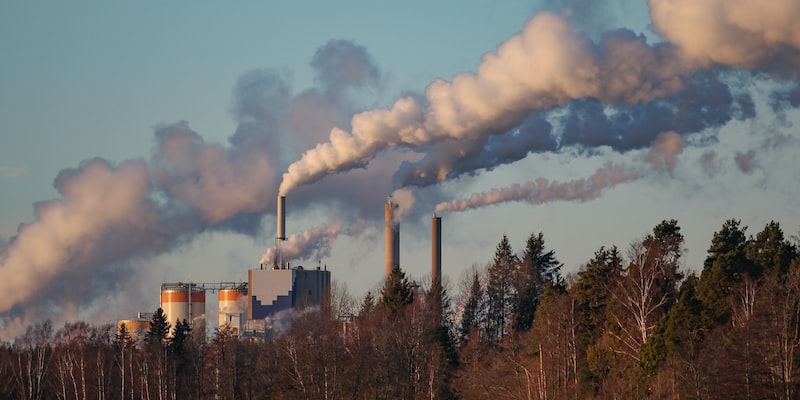Is chimney repair covered by home insurance?